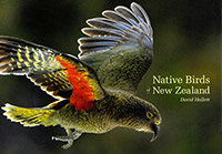 Native Birds of New Zealand book cover